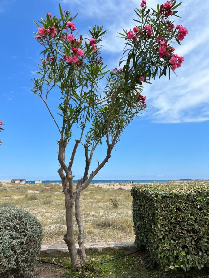 Beautiful Apartment 1 Minute Walk To The Beach Sagunto Εξωτερικό φωτογραφία